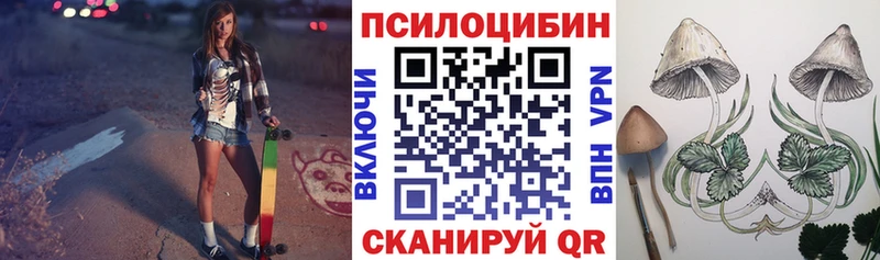 Псилоцибиновые грибы Psilocybine cubensis  Купить где  Благовещенск 